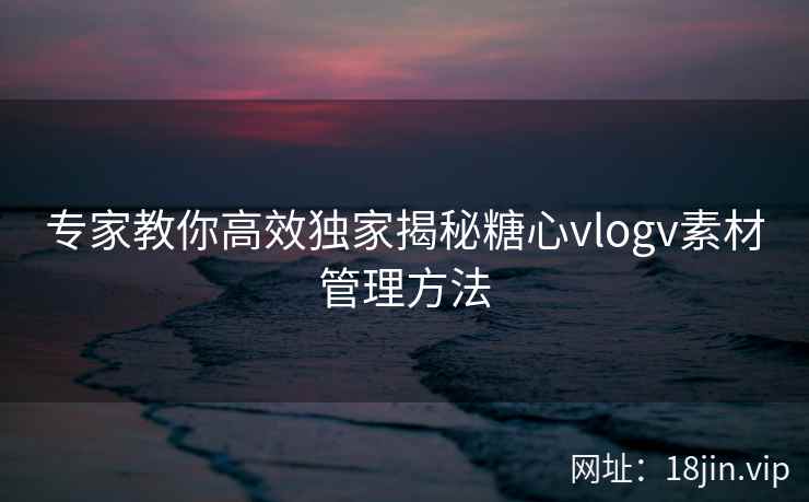专家教你高效独家揭秘糖心vlogv素材管理方法