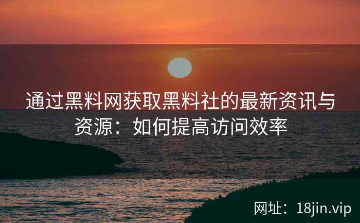 通过黑料网获取黑料社的最新资讯与资源：如何提高访问效率