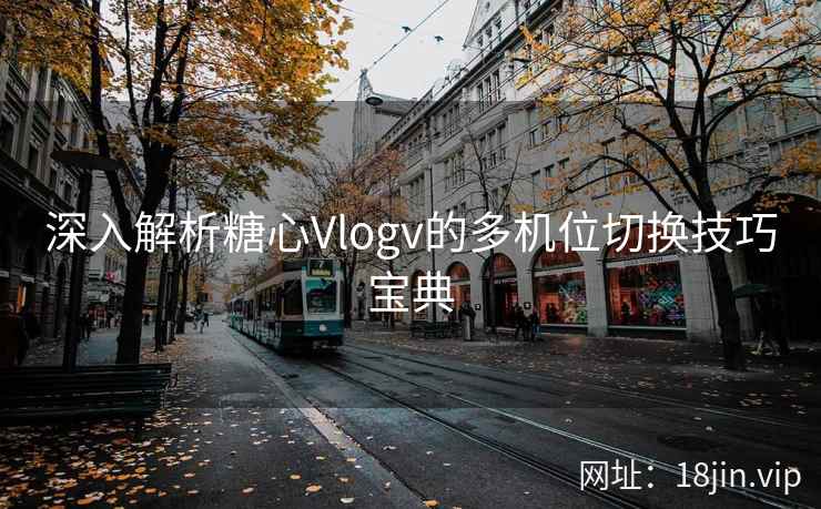 深入解析糖心Vlogv的多机位切换技巧宝典