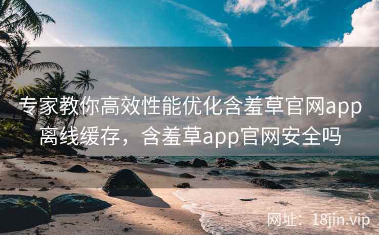 专家教你高效性能优化含羞草官网app离线缓存，含羞草app官网安全吗