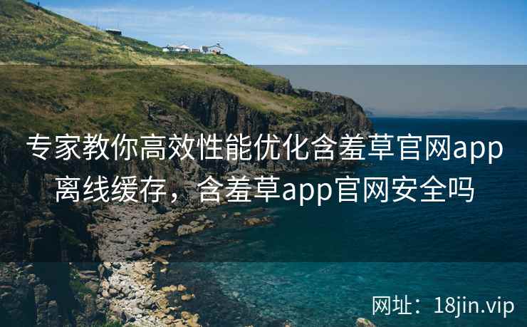 专家教你高效性能优化含羞草官网app离线缓存，含羞草app官网安全吗