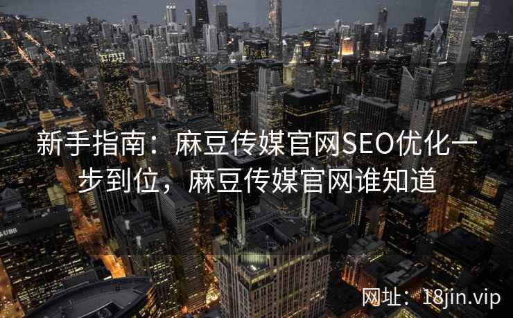 新手指南：麻豆传媒官网SEO优化一步到位，麻豆传媒官网谁知道  第1张