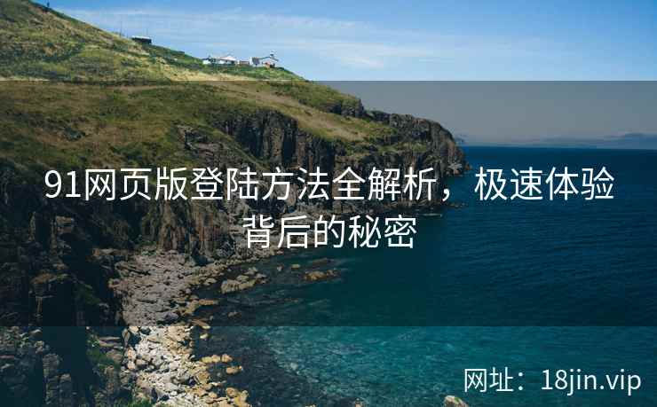 91网页版登陆方法全解析，极速体验背后的秘密