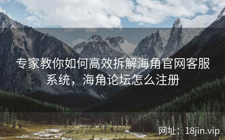 专家教你如何高效拆解海角官网客服系统，海角论坛怎么注册