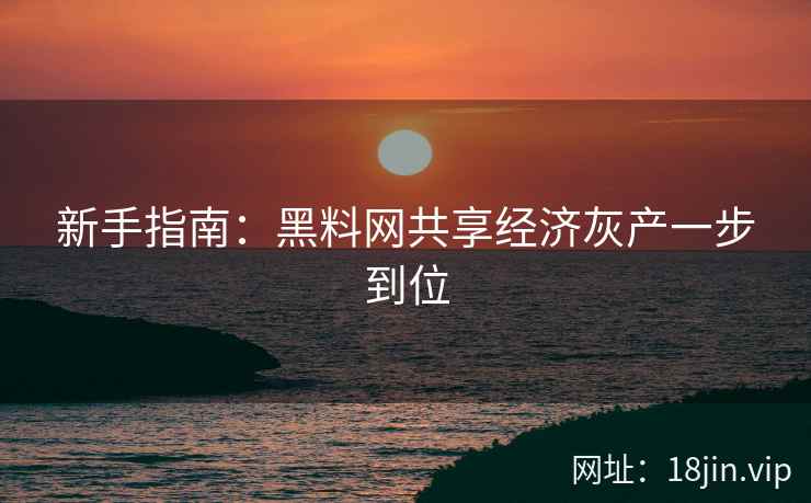 新手指南：黑料网共享经济灰产一步到位