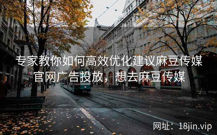 专家教你如何高效优化建议麻豆传媒官网广告投放，想去麻豆传媒