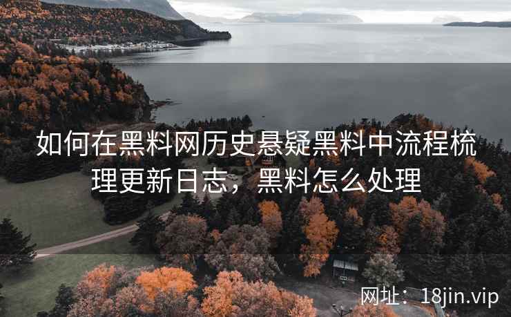 如何在黑料网历史悬疑黑料中流程梳理更新日志，黑料怎么处理