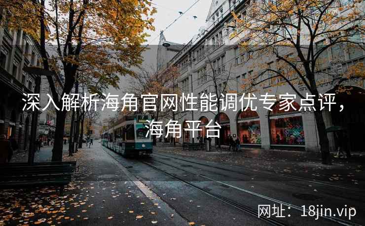深入解析海角官网性能调优专家点评，海角平台