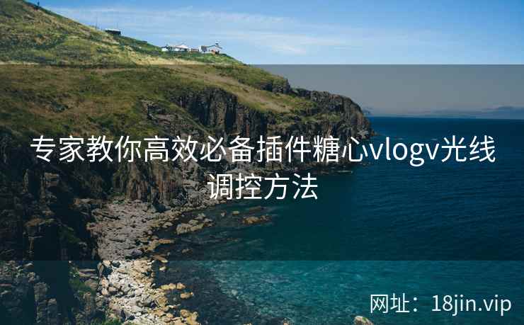 专家教你高效必备插件糖心vlogv光线调控方法