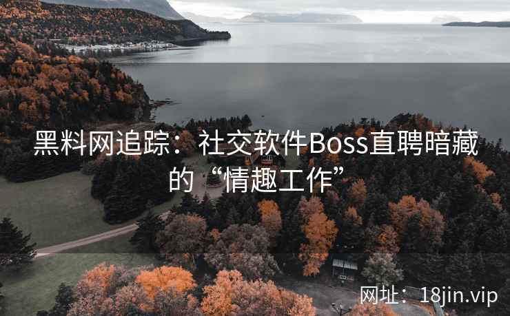 黑料网追踪:社交软件Boss直聘暗藏的“情趣工作” 第2张 黑料网追踪:社交软件Boss直聘暗藏的“情趣工作” 第2张